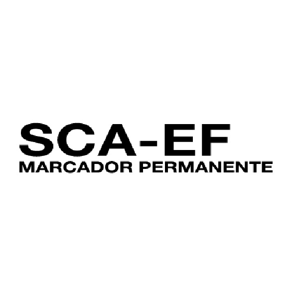 MARCADORES DELGADOS